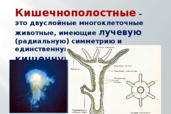 Кракен вход на сайт