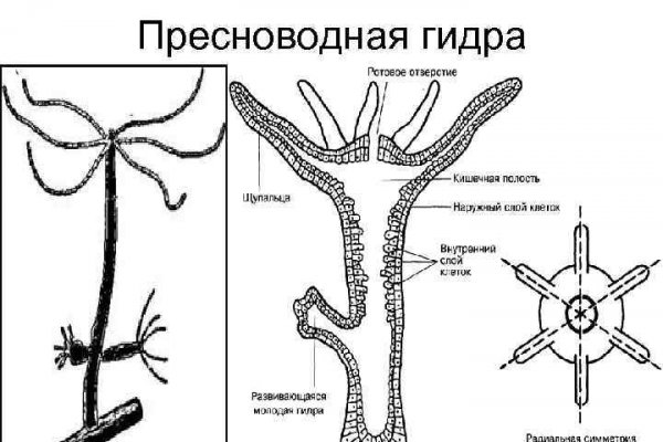 Kraken зеркало krakens13 at